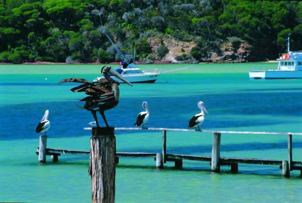 Pelican Motor Inn Merimbula Esterno foto